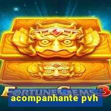 acompanhante pvh